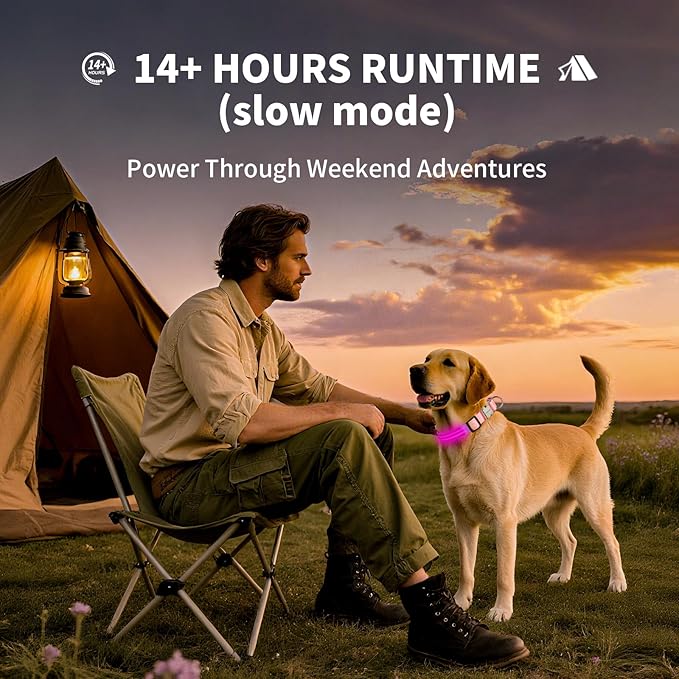 LED Dog Collar with Metal Buckle - USB Rechargeable Glow Collar for Dogs, Waterproof Light Up Dog Collar w/Reflective Strips - Adjustable Night Safety Collars by PetIsay(Pink,Large)-Mewly Pet