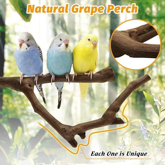 kathson 3pcs Natural Parrot Perch for Cage Wooden Bird Perches Grape Bird Stick Parakeet Climbing Standing Branches Toy Chewable Cage Accessories for Small Budgies Cockatiels Lovebirds Budgies-Mewly Pet