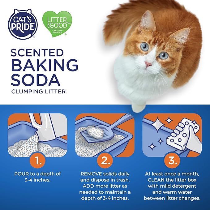 Cat's Pride Lightweight Clumping Litter: Baking Soda - Powerful Odor Control - Scented, 10 Pounds-Mewly Pet