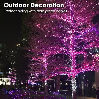 RPGT Christmas Tree Light 500 LEDs 172ft Green Cable Wire Low Voltage Fairy String Twinkle Lights Waterproof 12 Modes for Party, Halloween, Outdoor, Garden, Wedding, Home Decoration (Purple)