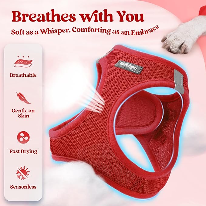 rabbitgoo Dog Harness Small Medium Sized and Leash Set, Step in Soft Light Puppy Vest, Breathable Mesh Pet Harness, Reflective for Safe Easy Walking, Red L-Mewly Pet