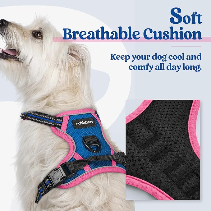 rabbitgoo Dog Harness No Pull with 2 Leash Clips, Adjustable Soft Padded, Reflective Oxford No Choke Pet Vest with Easy Control Handle for Large Dogs, Blue & Hot Pink, XS-Mewly Pet