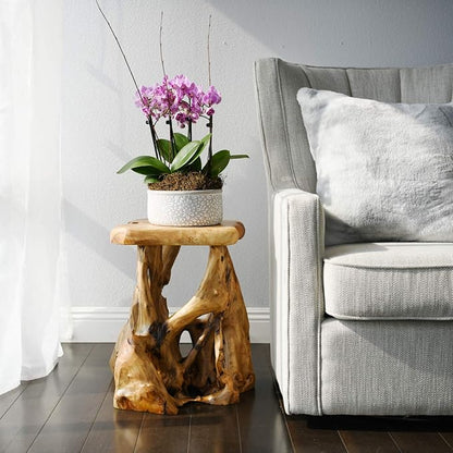 WELLAND Natural Tree Stump Stool, 19'' Tall Side Table, Live Edge Stool, Natural Edge End Table, Accent Table, Plant Stand for Living Room, Bedroom,