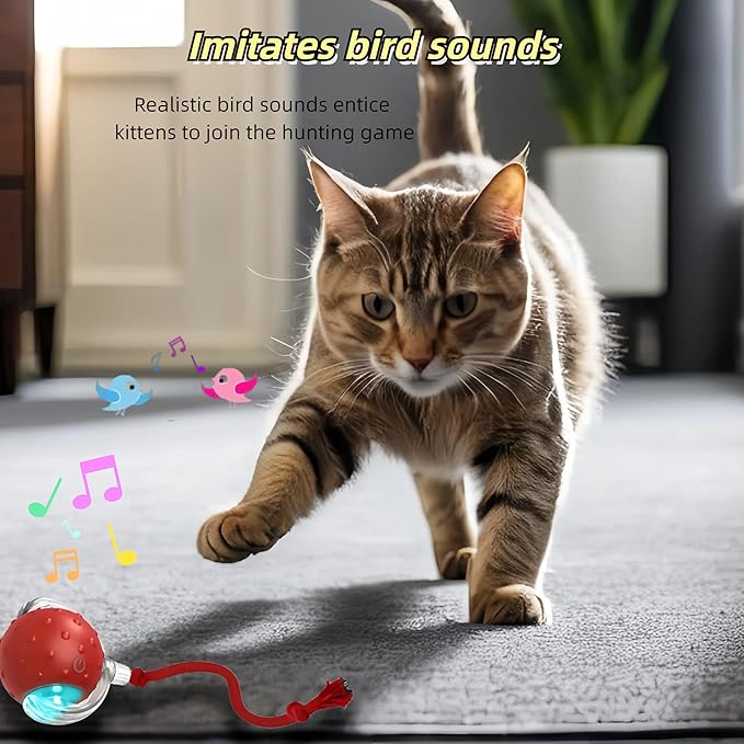 Interactive Cat Toy Ball – Automatic Electric Rolling Ball with Chirping Bird Sounds, Motion-Activated Indoor Toy for Kittens and Cats, Fun Exercise Play (Red)-Mewly Pet