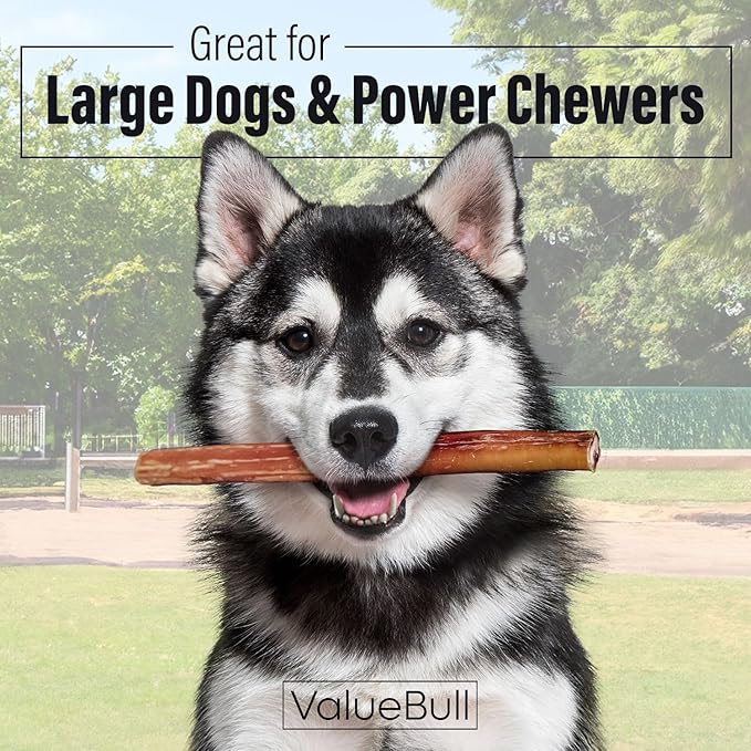 ValueBull Bully Sticks for Large Dogs, Jumbo 12 Inch, 25 Count - All Natural, Grass Fed, Single Ingredient, Long Lasting Dog Treats for Aggressive Chewers-Mewly Pet
