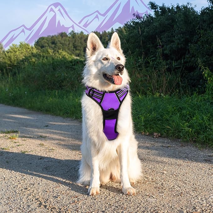 Eagloo Dog Harness for Large Dogs, No Pull Service Vest with Reflective Strips and Control Handle, Adjustable and Comfortable for Walking, No Choke Pet Harness with 2 Metal Rings, Purple, XL-Mewly Pet