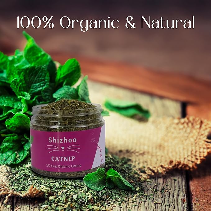 Catnip for Cats with Leaves and Flowers 100% Natural and Organic Catnip Premium Cat Nip for Cats & Kittens Used as a Snack or Refillable Catnip Treats for Cats (1/2 Cup, 2 Ounces)-Mewly Pet
