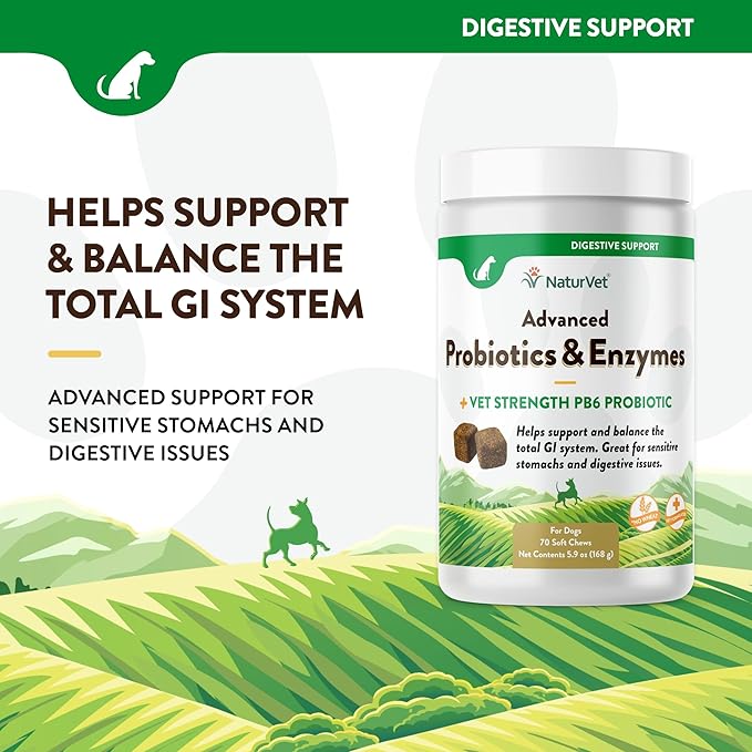NaturVet Advanced Probiotics & Enzymes, PB6 Dog Soft Chews to Help Sensitive Stomachs and Digestive Issues, Hickory Smoked Bacon Flavored Pet Supplement for Dogs Over 6 Weeks, 70 Count Jar-Mewly Pet