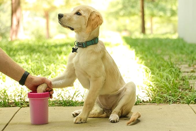 Dexas Pink Medium Dog Paw Cleaner, MudBuster - Premium Quality Pet Supplies and Dog Accessories for Dogs, Easy to Use, Mess Free, BPA Free, Patented Product-Mewly Pet