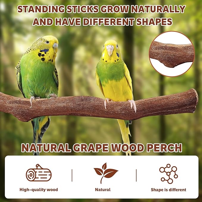 5PCS Bird Perch Stand Natural Wooden Parrot Stand Branch,3 Grape Wood Perch,2 Platform,Paw Grinding Fork Parakeet Chewing Stick Exercise Training Branches for Cockatiels,Small Birds-Mewly Pet