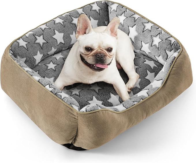 SIWA MARY Medium Dog Bed - Washable, Orthopedic, Calming for Medium Dogs, Non-Slip Bottom, S Plus (25"x21"x8") Brown-Mewly Pet