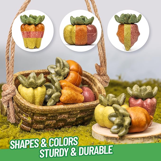 TEEWY Guinea Pig Chew Toys, Prevent Teeth Overgrowth, Natural Vegetables and Timothy Grass, Hamster Chew Toys, Chinchillas, Gerbils, Ha, Rabbit Rodents Teeth Care, Fruits & Vegetables & Basket Set-Mewly Pet