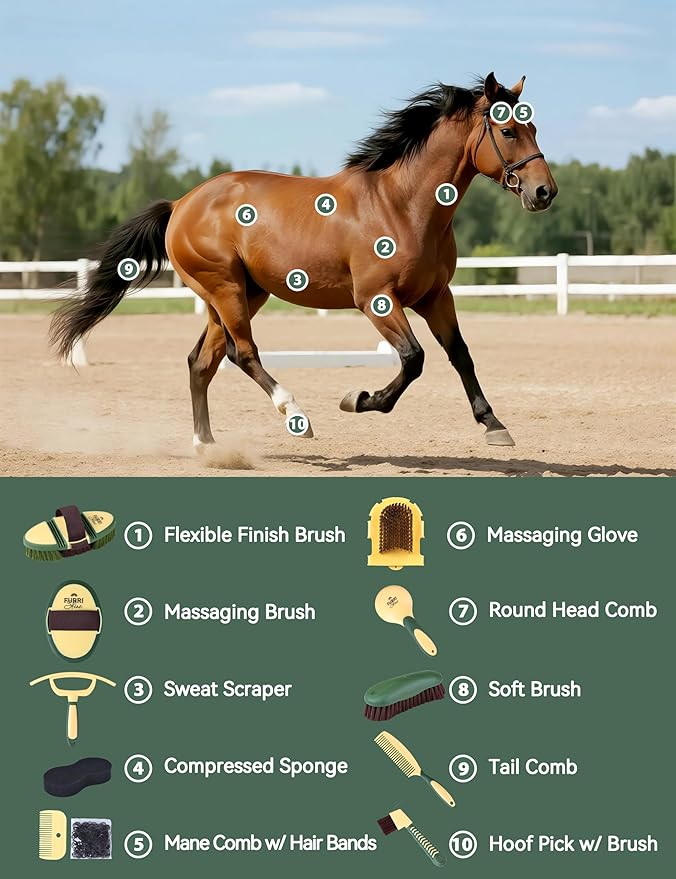 11PCS Horse Grooming Kit Curry Comb Sweat Scraper Horse Bathing Supplies Grooming Tools with Storage Bag Pasture Glow-Mewly Pet