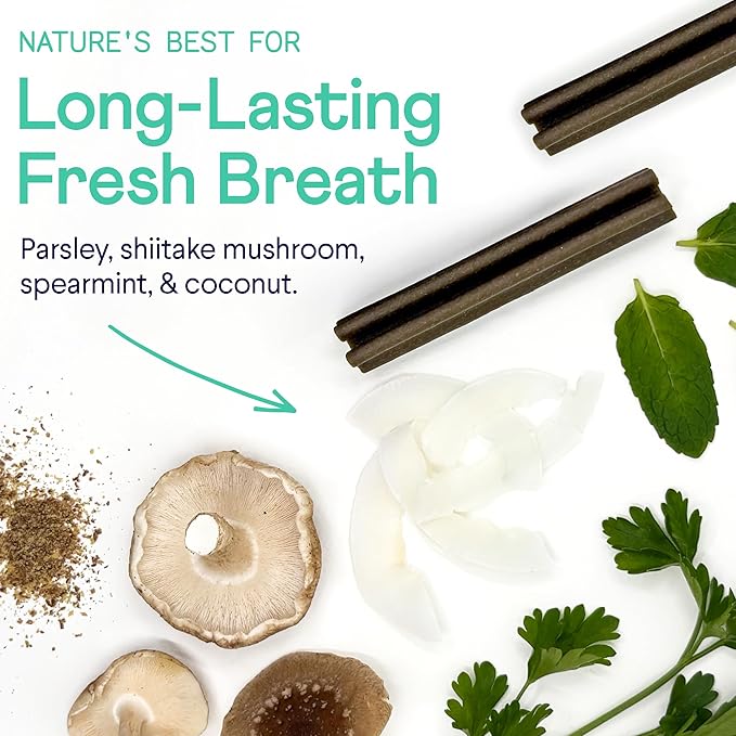 Finn Plaque Patrol Dental Chews | Triple-Action Defense Against Plaque, Tartar, and Bad Breath | for Medium/Large Dogs, 25+ lbs-Mewly Pet