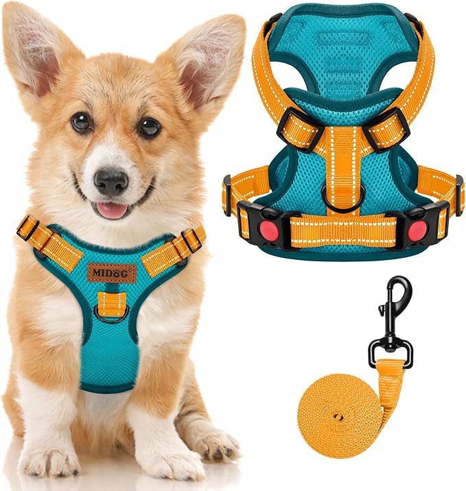 MIDOG No-Pull Dog Harness | Adjustable & Reflective Pet Harness Leash Set for Small Medium Large Dogs Walking, Training| No Choke, Front Clip, Soft Padded Vest with Easy Control Handle - Blue, S-Mewly Pet
