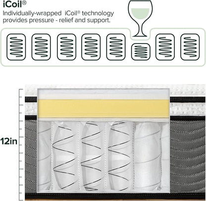 ZINUS 12 Inch Support Plus Pocket Spring Hybrid Mattress, Full, Strong Coils for Durable Support, Pocket Innersprings for Motion Isolation, Mattress in A Box