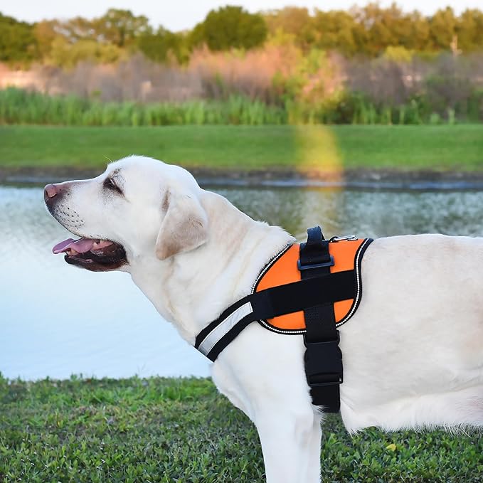 Dogline Dog Harness, Reflective No-Pull Adjustable Vest with Handle for Walking, Training, Breathable, No - Choke Harness for Small, Medium or Large Dogs Room for Patches Girth 27 to 34 in Orange-Mewly Pet