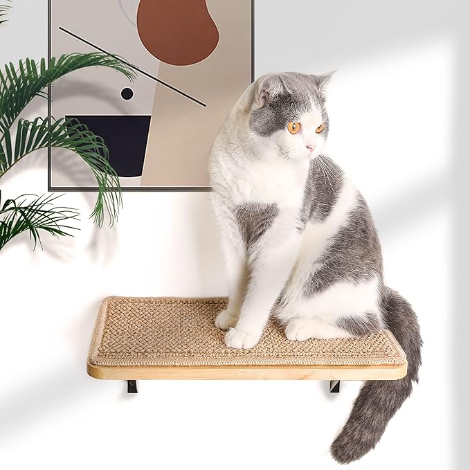 Cat Floating Wall Shelf with Scratching Mat, 1PC 9.7X16.6 Inch Large 1 Inch Thick Wood Cat Window Perches Hanging Shelves Wall Mounted Beds for Sleeping, Playing, Climbing, Support to 30 LBS-Mewly Pet