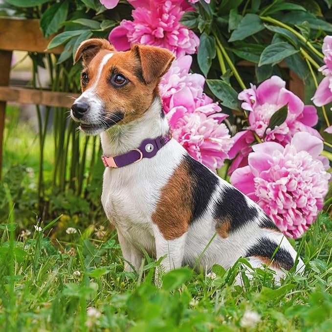 AirTag Dog Collar for Small Medium Large Breed - Adjustable Cute Pattern Dog Collar with Airtag Holder - Soft Leather Tracker GPS Apple Air Tag Pet Collars (Small, 12"-15" Neck Fit, Peonies)-Mewly Pet