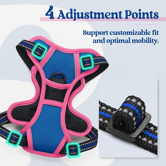 rabbitgoo Dog Harness No Pull with 2 Leash Clips, Adjustable Soft Padded, Reflective Oxford No Choke Pet Vest with Easy Control Handle for Large Dogs, Blue & Hot Pink, XS-Mewly Pet