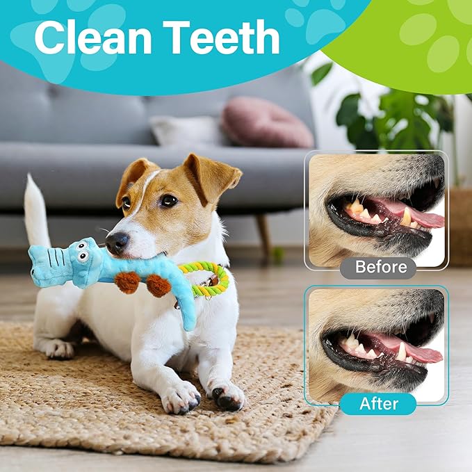 Prime Pets Dog Squeaky Toy, 2 Pack, Tug of War Dog Toys for Small Medium Large Dogs, Interactive Plush Puppy Chew Toy-Mewly Pet