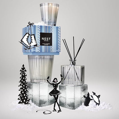NEST New York Reed Diffuser, Blue Cypress & Snow - 5.9 fl oz - Fragrance for Up to 90 Days - Reusable, Refillable Glass Holder - Includes 8 All-Natural Reed Sticks - Flame Free