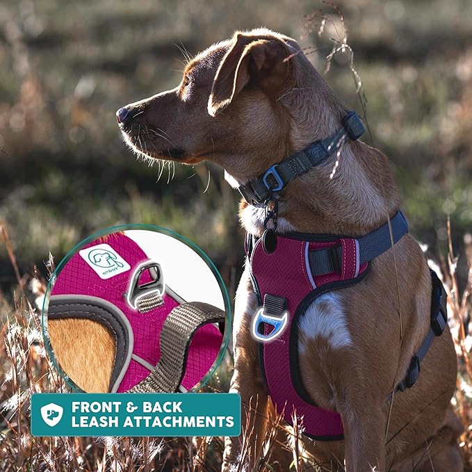 Embark Adventure Dog Harness, Reflective Trim No Pull Dog Harness for Large Dogs - Military Grade Nylon, Front Clip with Gel Lined Handle.-Mewly Pet