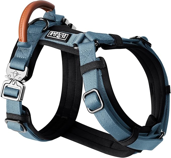 MADE TO ROAM Premium Explorer Harness - Y-Shaped Dog Harness with Adjustable Durable Nylon, Soft Padding, Metal Buckles and Leather Handle for Small, Medium, Large Dogs (California Horizon, Size 2)-Mewly Pet