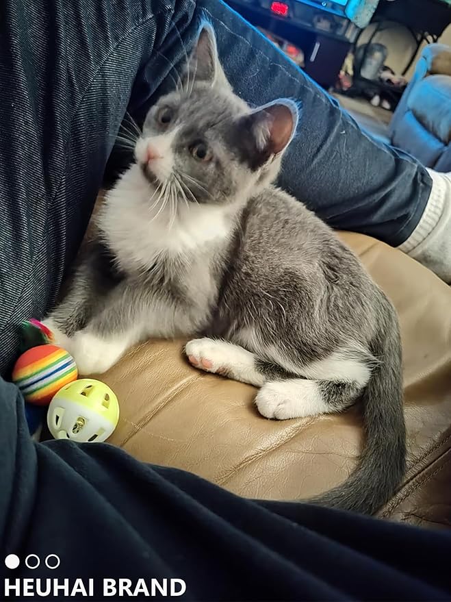 10-Pack Cat Toy Balls with Bells for Kittens and Cats (1.5'' - 2.2'', Cat Toys Mega Set)-Mewly Pet