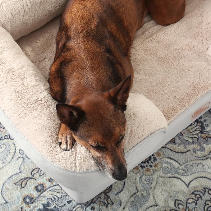 TOWN & COUNTRY EVERYDAY CuddleTown Comfy Solid Bolster Sofa Pet Bed, Supportive & Calming Egg Crate Foam, Non-Slip Bottom, Machine Washable Cover, Grey, Large 35"x25"x8"-Mewly Pet