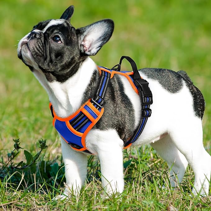 Eagloo Dog Harness Small Sized Dog, No Pull Service Vest with Reflective Strips and Control Handle, Adjustable and Comfortable for Walking, No Choke Pet Harness with 2 Metal Rings, Blue & Orange, S-Mewly Pet