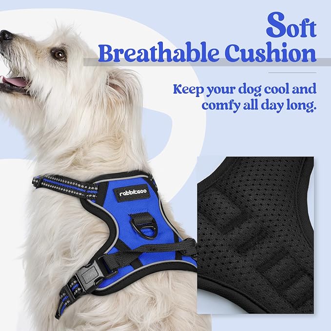 rabbitgoo Dog Harness No Pull with 2 Leash Clips, Adjustable Soft Padded, Reflective Oxford No Choke Pet Vest with Easy Control Handle for Puppy, Dazzling Blue,XS-Mewly Pet