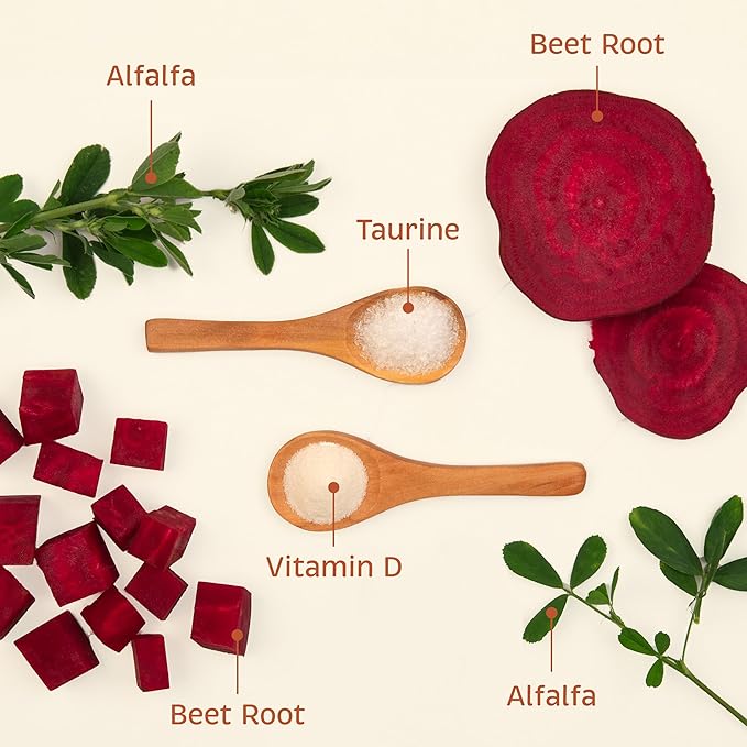 Health + Vitality for Dogs - Pet Supplement for Immune System, Coat, Liver Health & More - Dog Multifunctional Support with Choline, Calcium, Zinc, & Vitamins D and A - 90 Chewable Wafers-Mewly Pet