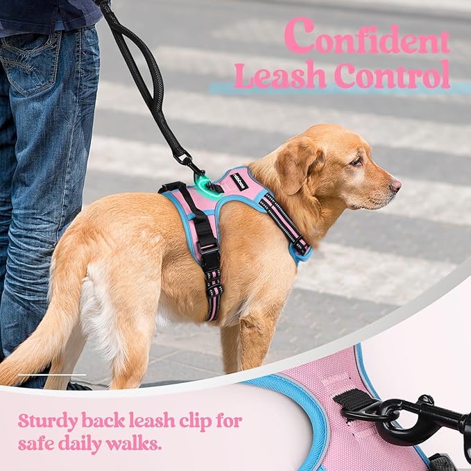 rabbitgoo Dog Harness No Pull with 2 Leash Clips, Adjustable Soft Padded, Reflective Oxford No Choke Pet Vest with Easy Control Handle for Small Dogs, Pink & Blue, S-Mewly Pet