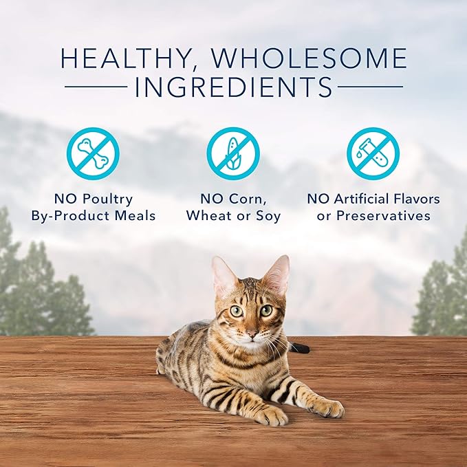 Blue Buffalo Wilderness High Protein Crunchy Cat Treats, Made With Natural Ingredients, Tasty Trout, 2-oz Bag (Pack of 12)-Mewly Pet