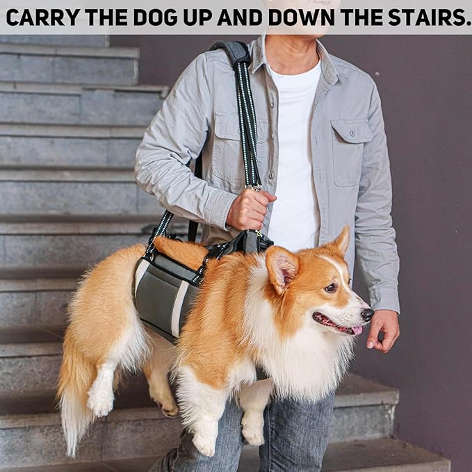 COODEO Mobility Dog Lift Harness, Emergency Carry Sling, Pet Rear Leg Support Rehabilitation Lifts Vest, Dog Carrier for Senior Dogs Joint Injuries, Arthritis (Military Green, M)-Mewly Pet