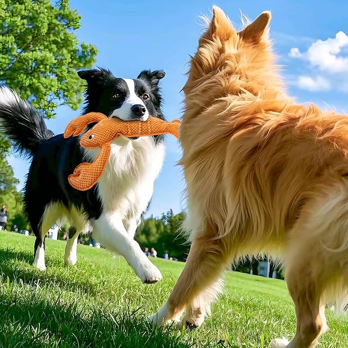 Squeaky Dog Toy No Stuffed Dog Toys,Lobster Puppy Toys for Small Medium Large Breed pups Teething Interactive Toy to Keep Them Busy, Best Christmas Birthday Gift-Mewly Pet