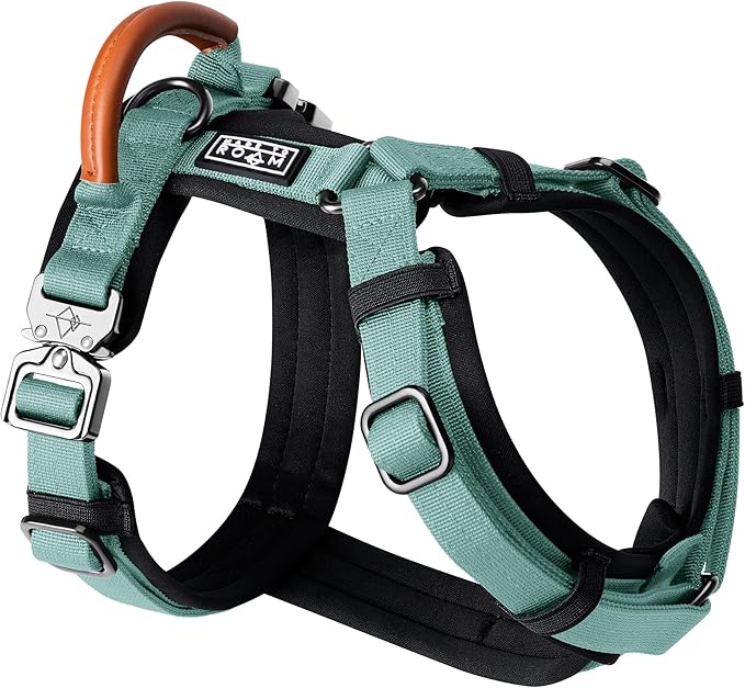 MADE TO ROAM Premium Explorer Harness - Y-Shaped Dog Harness with Adjustable Durable Nylon, Soft Padding, Metal Buckles and Leather Handle for Small, Medium, Large Dogs (Florida Seaside, Size 5)-Mewly Pet