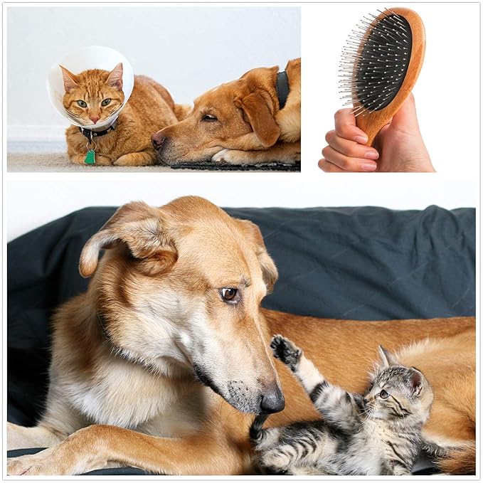 ClumsyPets Dog & Cat Ball Pin Slicker Grooming Brush with Bamboo Handle for Pets Massage Bath and Removes Mats Loose Fur Hairs-Mewly Pet