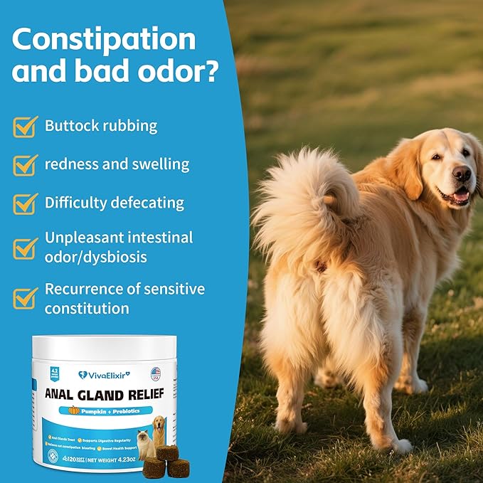 Cat Constipation Relief - Chewable Tablets - with Pumpkin, Psyllium Husk, Prebiotics & Probiotics - Supports Gut Hydration, Bowel Regularity & Immune Health - 120 Tablets-Mewly Pet