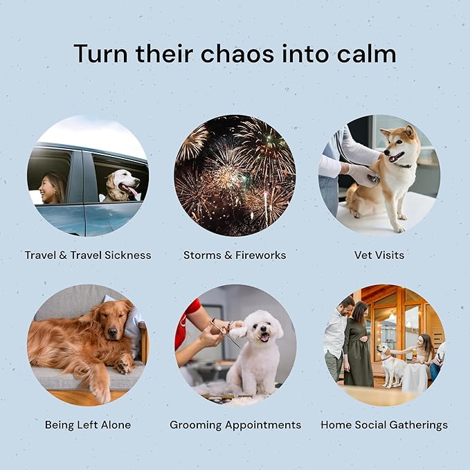 MalsiPree Calming Chews for Dogs - 145 pcs Salmon - Helps Regulate Mood - Anxiety Relief Treats - No Sedative Effect - Freeze Dried - with Passion Flower & Melatonin-Mewly Pet