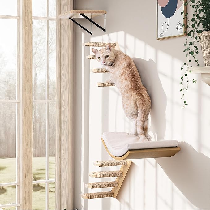 Cat Wall Shelves with Cats Window Perch – 4-Piece Wooden Cat Climbing Furniture Set with Soft Foam Curved Bed, Flat Shelf & 2 Wall 4-Steps Ladders-Mewly Pet