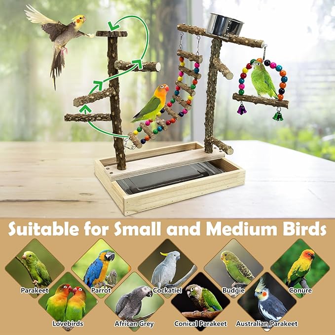 Tfwadmx Bird Playground Natural Wood Bird Play Stands Parrot Perch Stand with Removable Tray Climb Ladders Swing Chewing Toys for Lovebirds Cockatiels Budgies-Mewly Pet