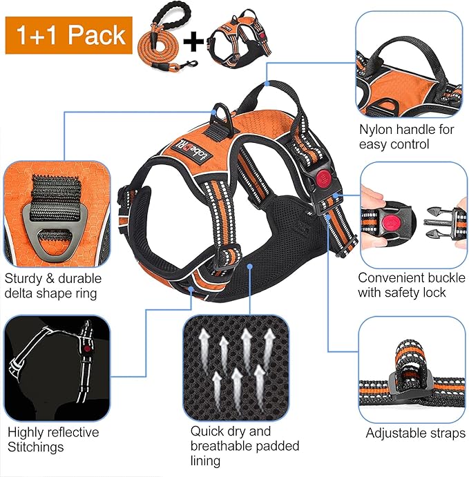 No Pull Dog Harness Adjustable Reflective Oxford Easy Control Medium Large Dog Harness with A Free Heavy Duty 5ft Dog Leash (S (Chest: 17.5"-21"), Orange Harness+Leash)-Mewly Pet