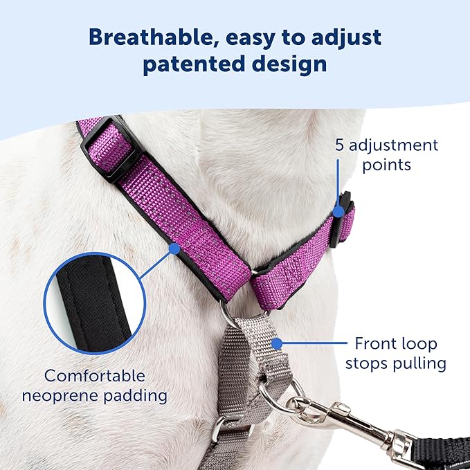 PetSafe 3 in 1 Dog Harness - No Pull Solution for Dogs - Reflective Dog Harness - Front D-Ring Clip Helps Stop Pulling - Comfortable Padded Straps - Top Handle Enhances Control - Teal - Small-Mewly Pet