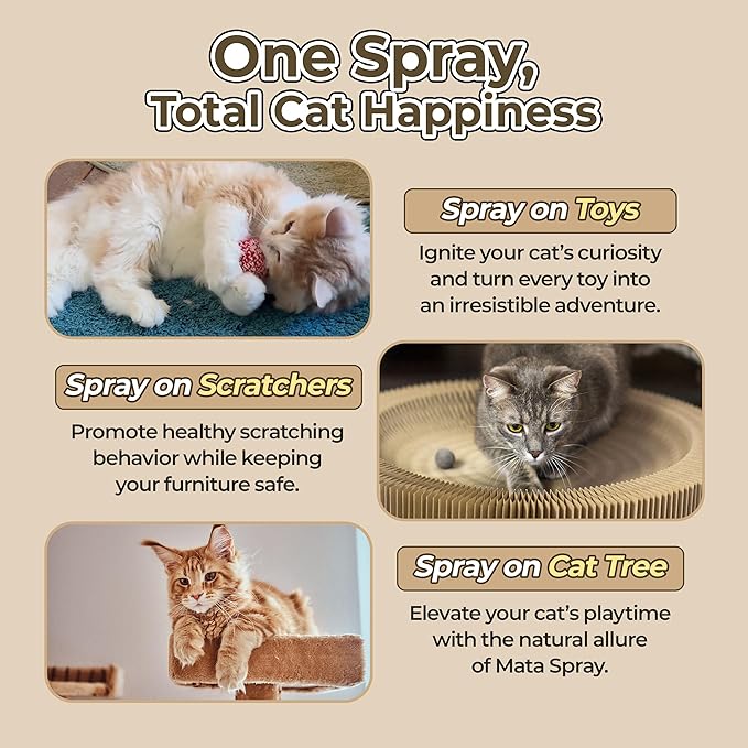JAYU PET Active MATA Spray – 100% Natural Silvervine Spray for Cats, Liquid Catnip Alternative, Calming Spray for Indoor Kittens, Boosts Play & Engagement, Reduces Stress (1 fl oz)-Mewly Pet