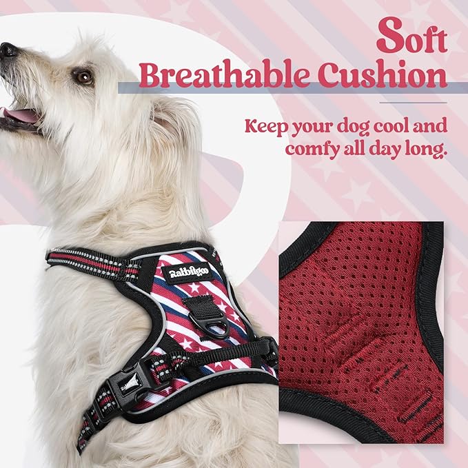 rabbitgoo Dog Harness No Pull with 2 Leash Clips, Adjustable Soft Padded, Reflective Oxford No Choke Pet Vest with Easy Control Handle for Large Dogs, Red Stripe, XS-Mewly Pet