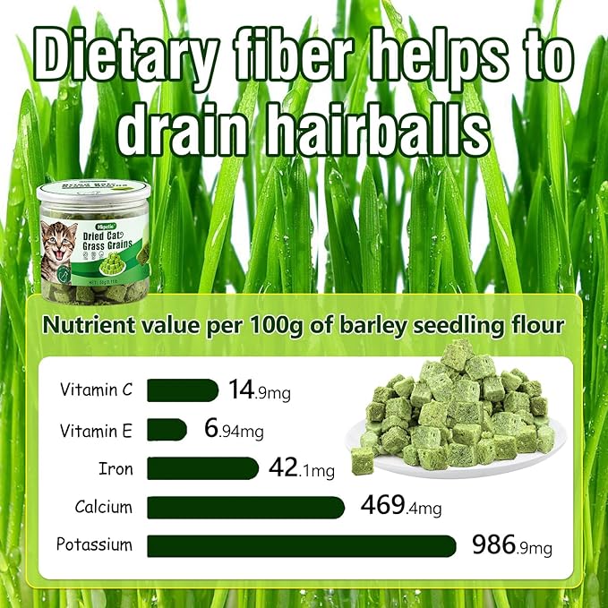 50g Cat Grass Teething Treat, Delicious Cat Grass Teething Snack Edible Cats Chew Toy for Teeth Cleaning and Hairball Removal-Mewly Pet