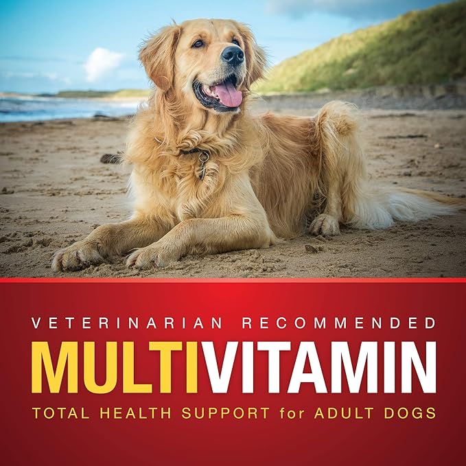 VetIQ Multivitamin Supplement for Dogs, Health Support Supplement Soft Chews, 90 Count-Mewly Pet