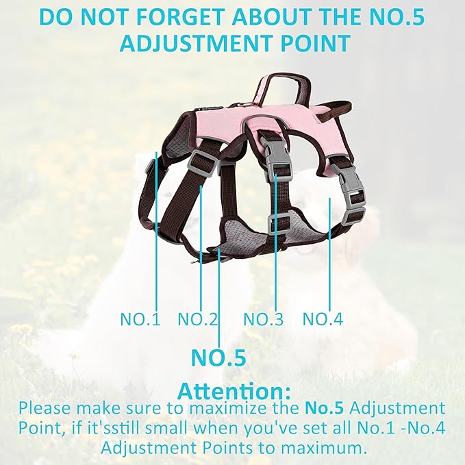 Escape Proof Dog Harness, No Pull Reflective Adjustable Vest with Easy Control Lift Handle, No Choke Soft Padded Breathable Full Body Pet Harness for Walking Hiking and Training (Pink, Small)-Mewly Pet